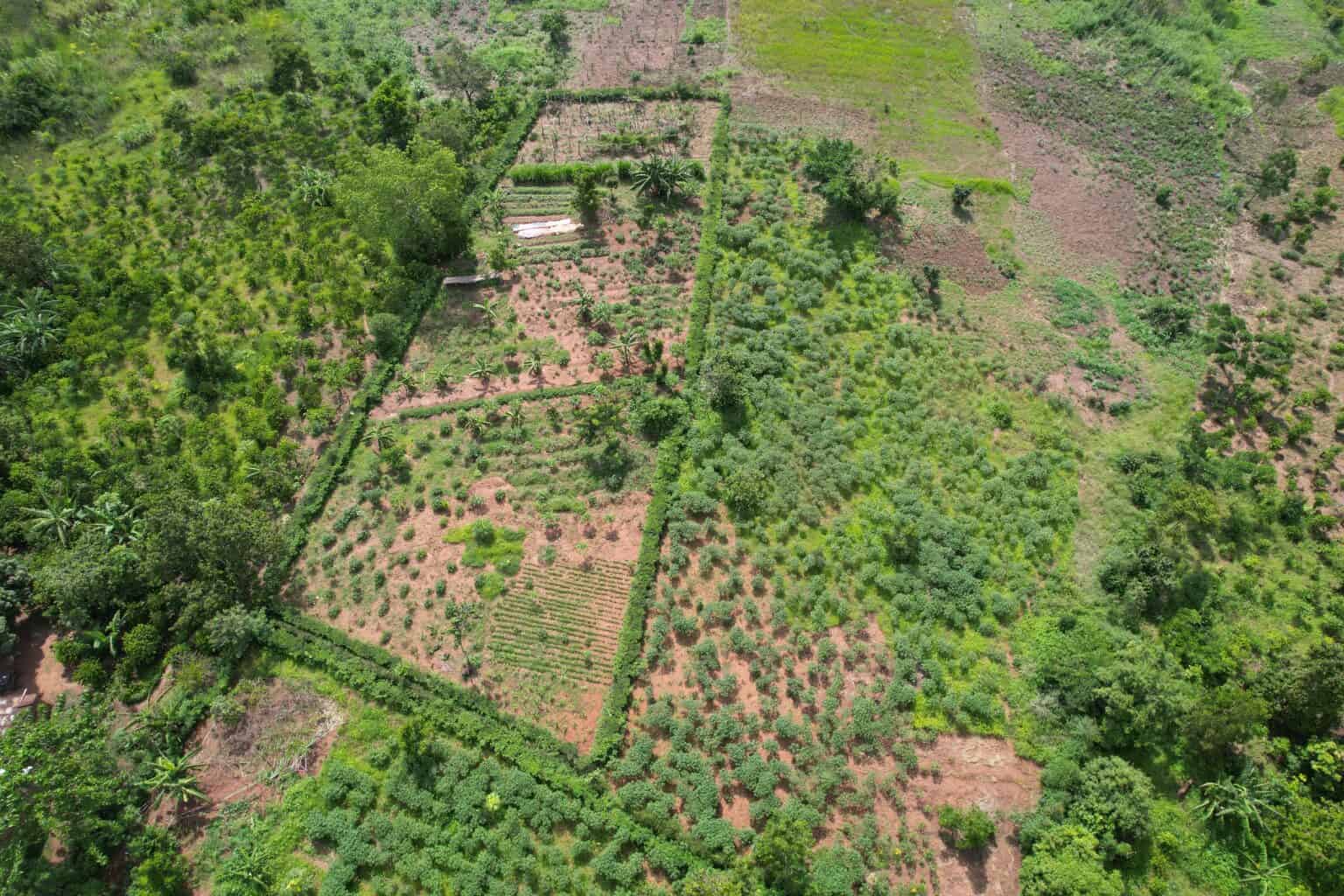 land