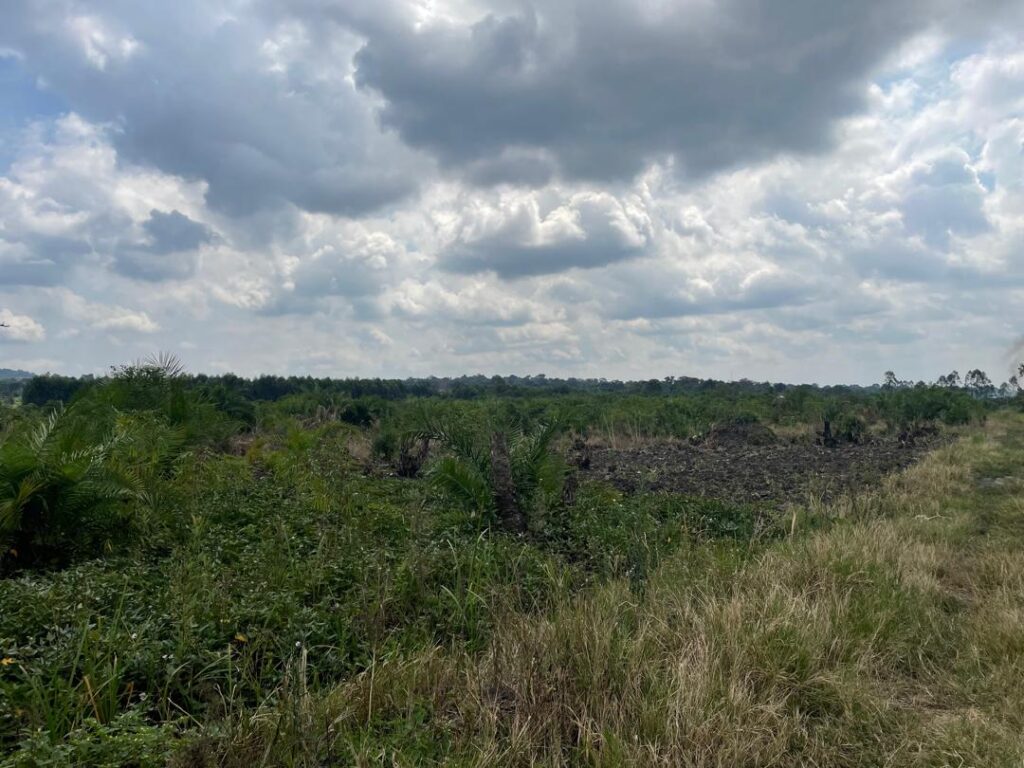 11 acres for sale in Bombo Waluta at 18m per acre