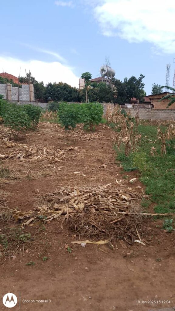 Ntinda-Kigowa 54 decimals for sale at 1.5 Bn